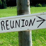 Attend a Family Reunion