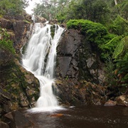 Steavenson Falls