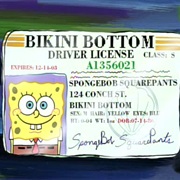 Had a Driver's License