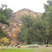 Placerita Canyon State Park, California