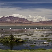 Los Flamencos National Reserve, Chile