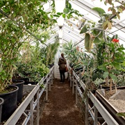 Botanical Garden Delft