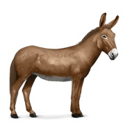 Donkey - Brown