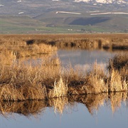 Bear Lake National Wildlife Refuge