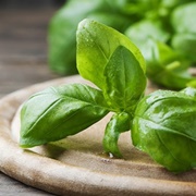Basil