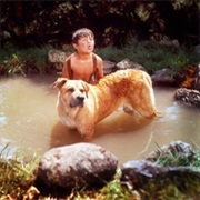 Old Yeller, Old Yeller