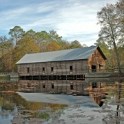 George L. Smith State Park, Georgia