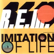 Imitation of Life - REM