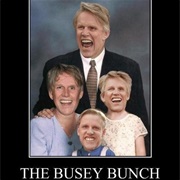 The Busey Bunch