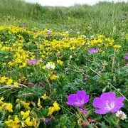 Yorkshire Dales NP / N Pennines AONB, England