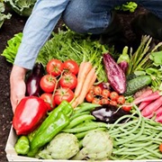 Grown Vegetables