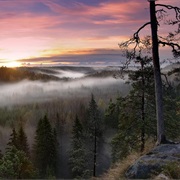 Nuuksio National Park, Espoo