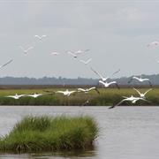 Timucuan Ecological & Historic Preserve