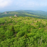 Mount Rogers National Recreation Area
