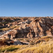 Dinosaur Provincial Park - Canada