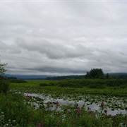 Silverlake, Washington