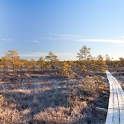 Teiči Nature Reserve