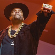 Sir Mix-A-Lot