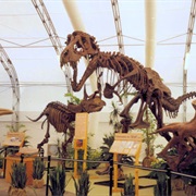 The 1999 Dinosaur Jubilee