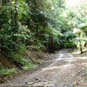 Davies Creek National Park (QLD)