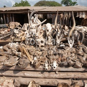 Akodessawa Voodoo Fetish Market, Lome, Togo