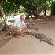 Kachikally Crocodile Pool, the Gambia