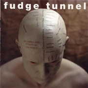 The Complicated Futility of Ignorance - Fudge Tunnel