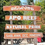 Apo Reef