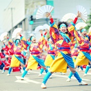 Attend Kochi's Yosakoi Festival