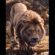 Simba