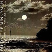 The Killing Moon - Echo & the Bunnymen