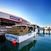 The Conch Republic Seafood Company