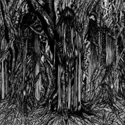 Sunn O))) - It Took the Night to Believe