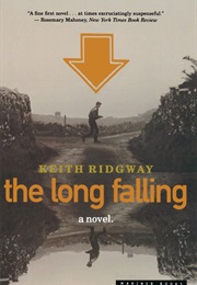 The Long Falling (Keith Ridgway)