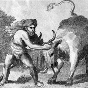 Cretan Bull