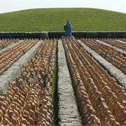 Mausoleum of the First Qin Emperor