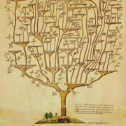 Do a Family Tree