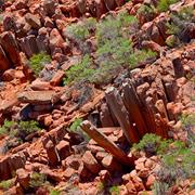 Gawler Ranges National Park (SA)