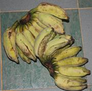 கற்பூரவல்லி வாழைப்பழம்