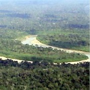 Purús River