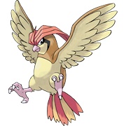 Pidgeotto