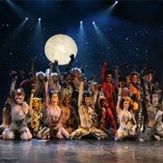 Cats the Musical