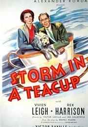 Storm in a Teacup (Dalrymple &amp; Saville)