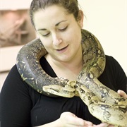 Visit Reptile World, AB