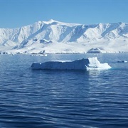 Cruise Through the Icebergs of Antarctica