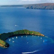 Turtle Town, Molokini Crater, Maui