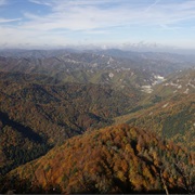 Casentinesi Forests National Park, Italy