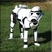 Storm Trooper Dog