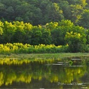 Yellow River State Forest, Iowa