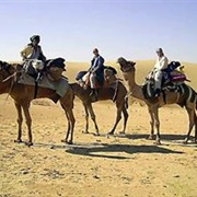 Taken a Camel Safari